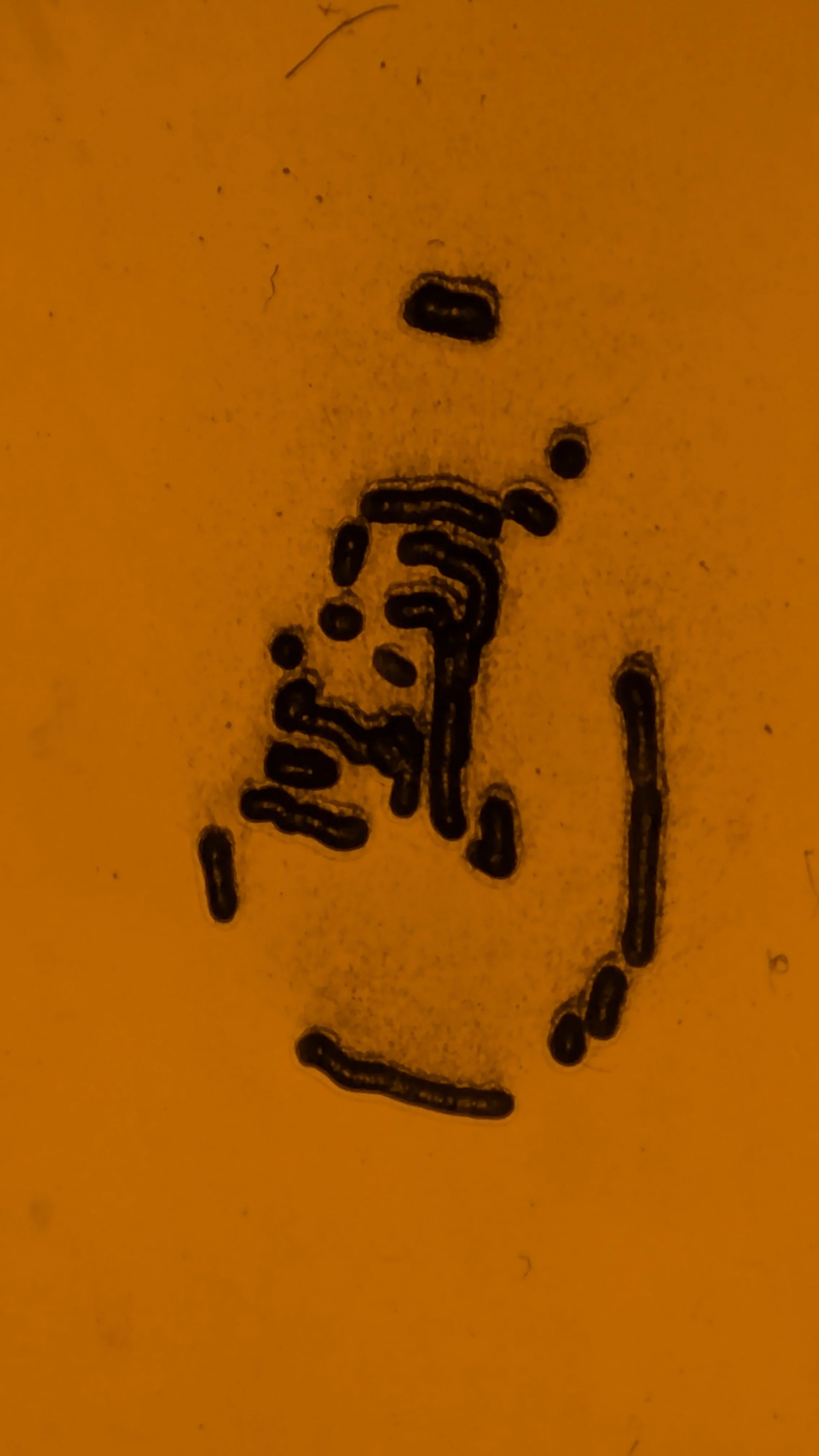 Skiagraph — image 22 of 40